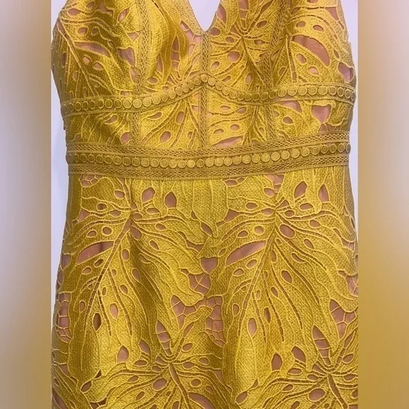 Anthropologie Maeve Gardenia Lace column dress - Picture 4 of 5